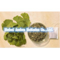 Extracto natural de la hoja de Biloba del Ginkgo de la medicina herbaria natural